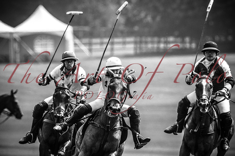 Clare Mathias The Art Of Polo | Clare Mathias