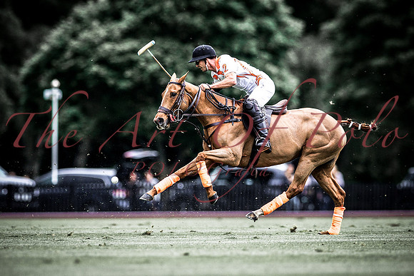 30_05_17_AOP 160