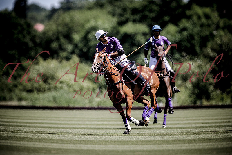 The Art Of Polo Fred Mannix jr.