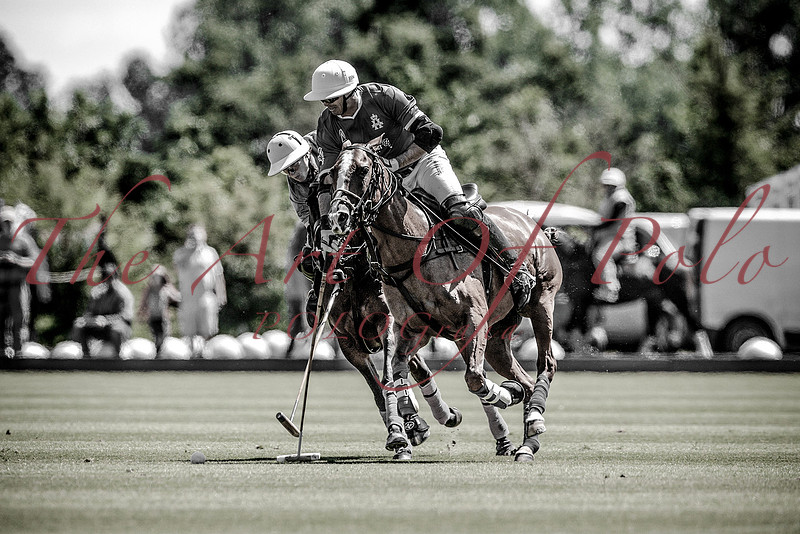 The Art Of Polo Fred Mannix jr.