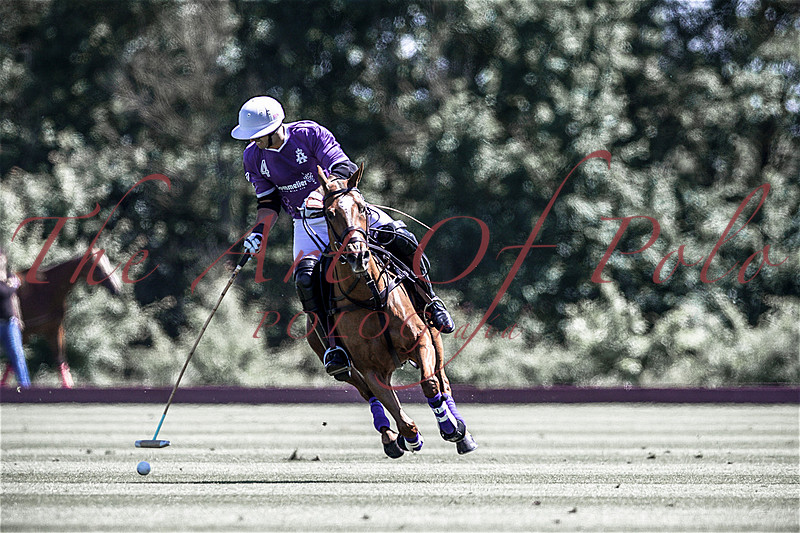 The Art Of Polo Fred Mannix jr.