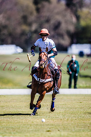 VHM_1_AOP_197