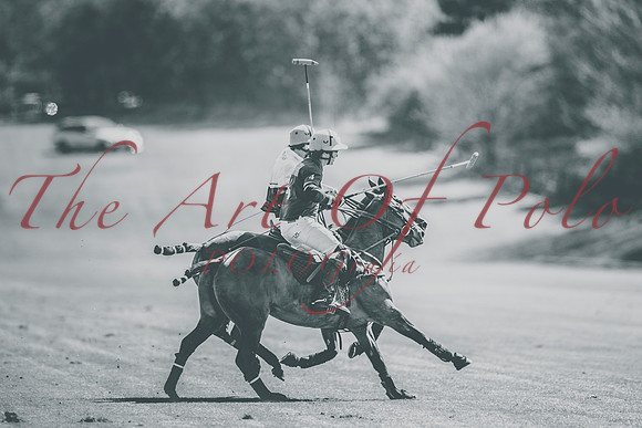 VHM_1_AOP_080