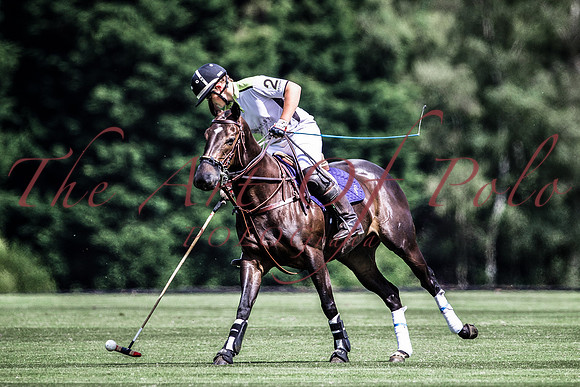 13_06_17_AOP 0311
