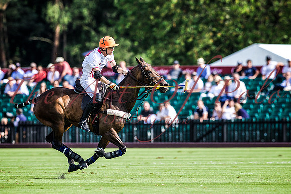 14_06_17_AOP 1115