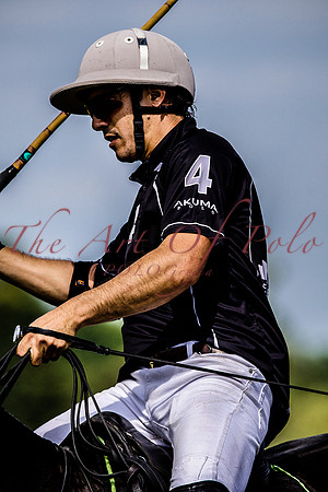 16_06_17_AOP 355