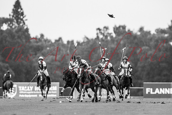 29_07_17_AOP_104