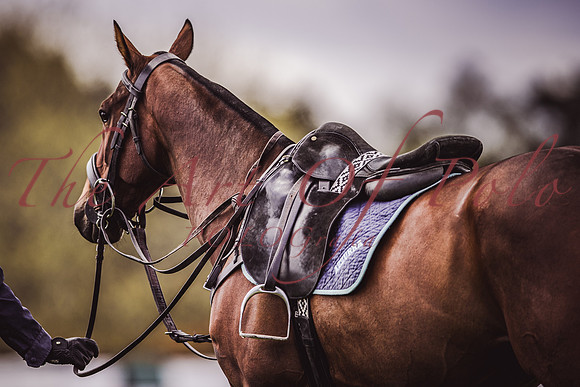 07_05_21_AOP_015