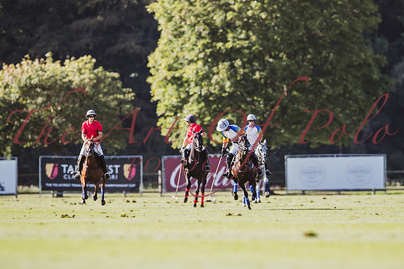 03_09_23_AOP_729