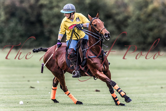 24_09_17_AOP_357