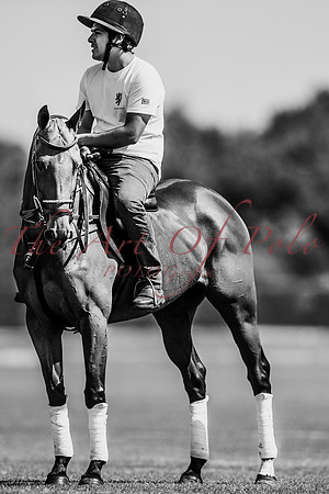 29_05_21_AOP_265