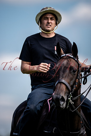 05_06_21_AOP_365