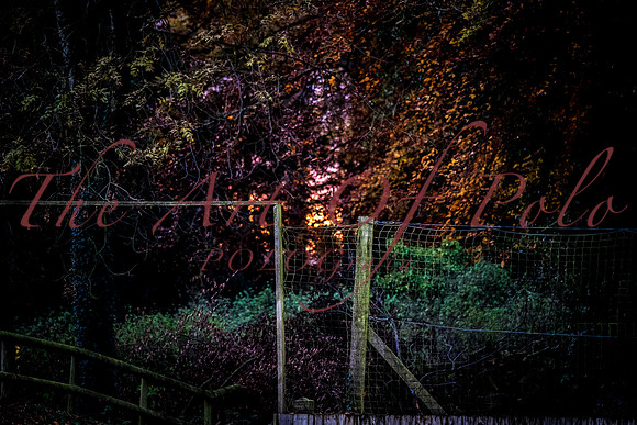 18_11_17_AOP_002