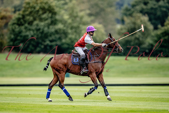 17_09_23_AOP_205