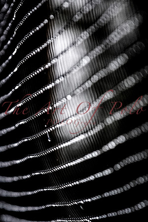 21_01_18_AOP_478