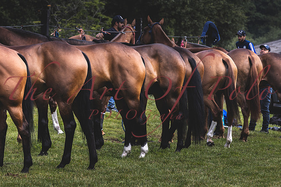 02_07_21_AOP_016