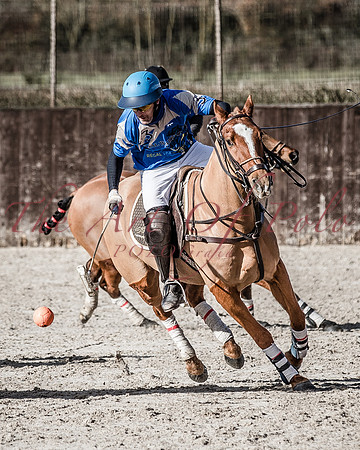 11_02_18_AOP_299