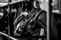 11_07_21_AOP_021