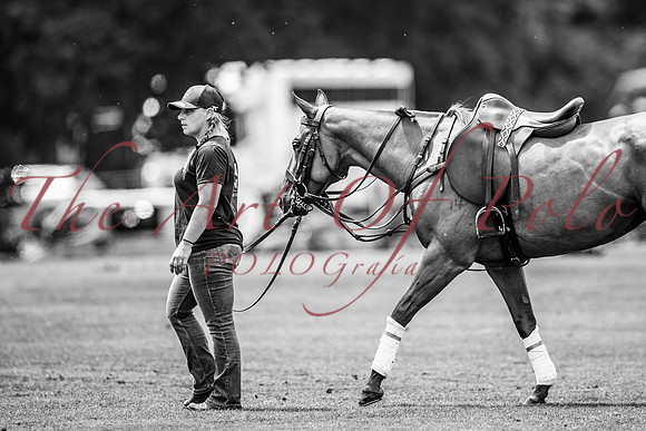 13_07_21_AOP_165