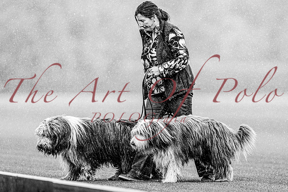 07_06_25_AOP_352