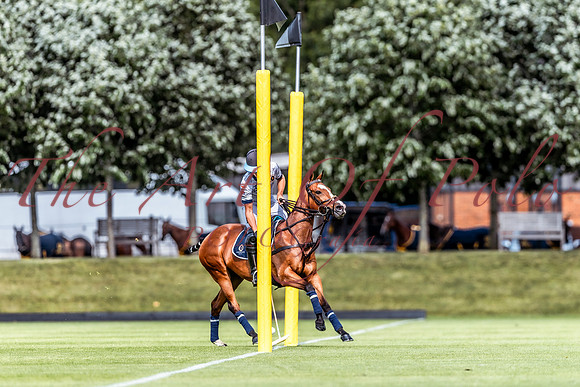 03_06_25_AOP_114