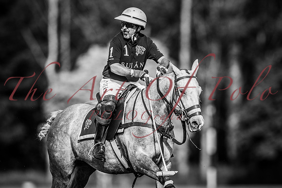 23_07_21_AOP_213
