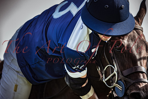 18_08_21_AOP_258
