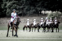 Duke Of Wellington