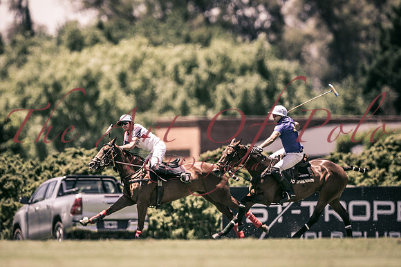24_11_18_AOP_173