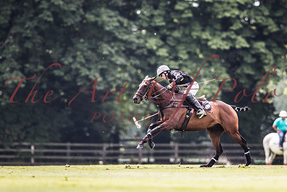 03_07_21_AOP_214