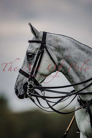 01_05_21_AOP_053