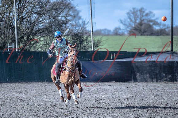 19_02_19_AOP_211