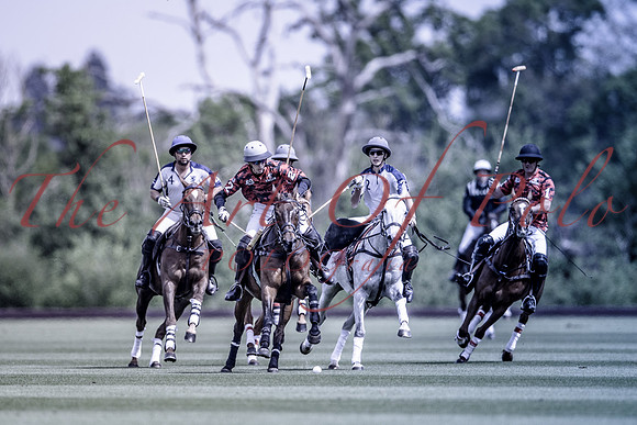 03_05_19_AOP_020