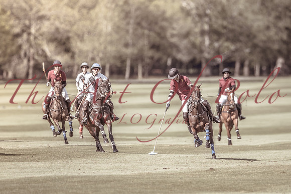 04_05_19_AOP_297
