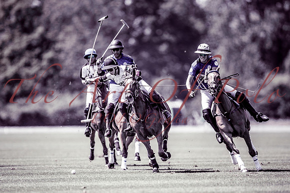 15_05_19_AOP_249