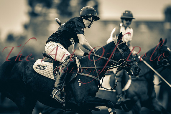 17_05_19_AOP_033
