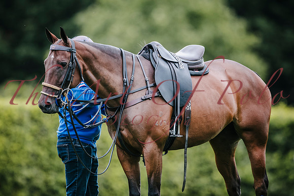 07_08_24_AOP_002