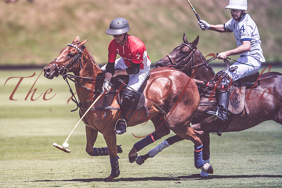 29_06_19_AOP_257