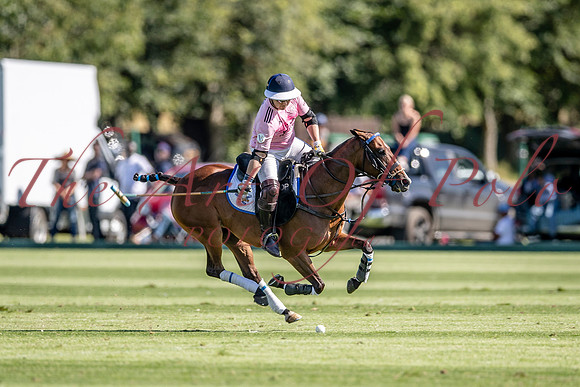 04_07_19_AOP_419