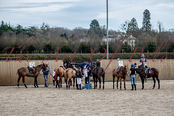 15_02_24_AOP_266