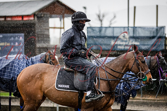 22_02_24_AOP_003