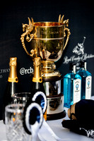 Royal County of Berkshire Polo Club