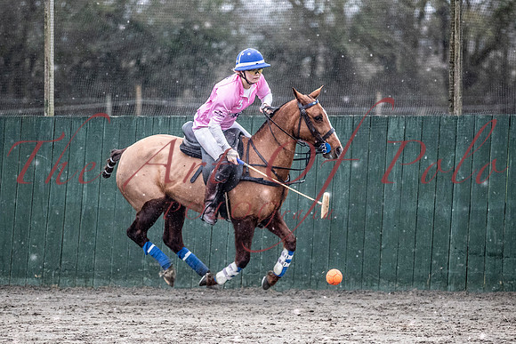 26_01_20_AOP_097