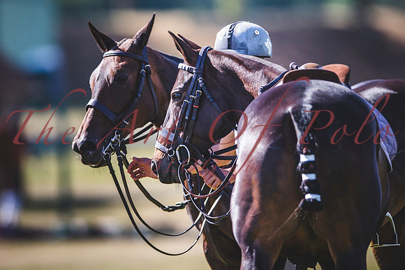 05_08_20_AOP_147