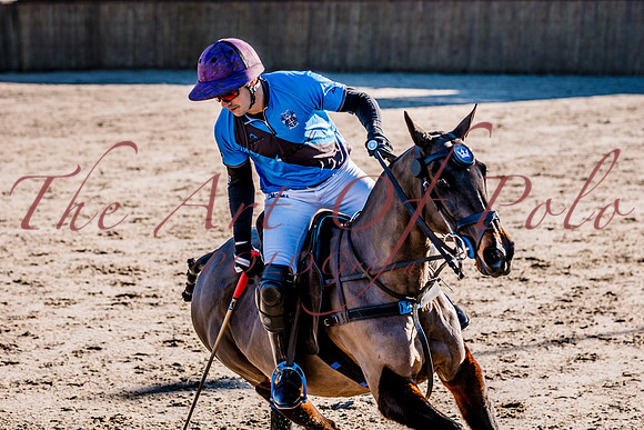 25_01_25_AOP_161