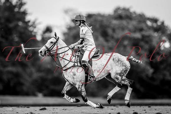 16_08_20_AOP_542