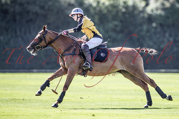 20_08_20_AOP_250