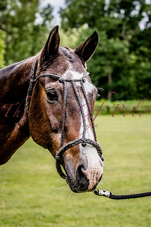 30_05_22_AOP_110