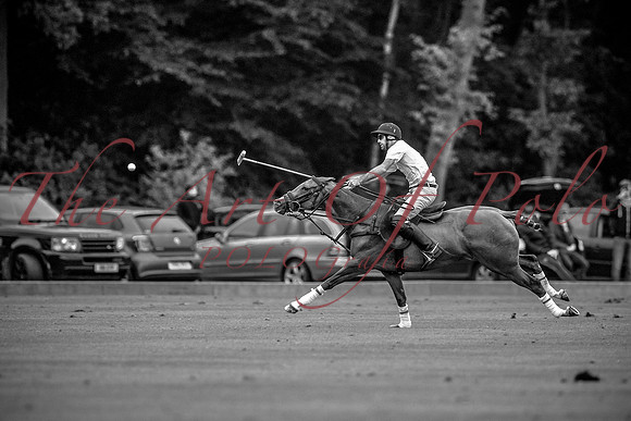 23_05_17_AOP 0433