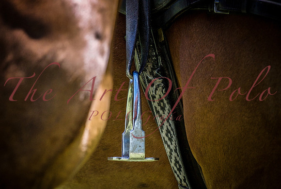 Stirrup